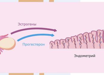 Анализ крови на прогестерон
