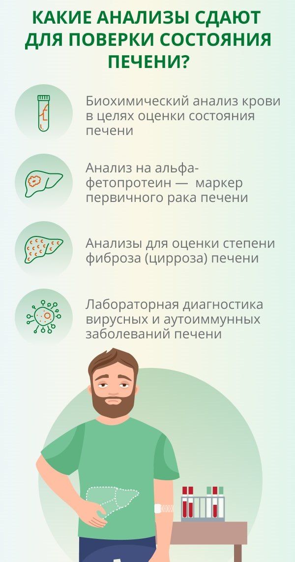 Какие анализы сдавать на печень