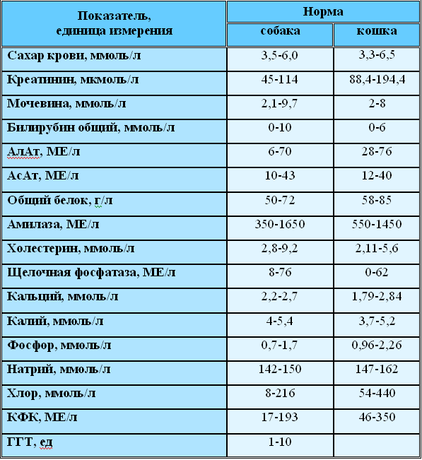 Креатинин биохимия крови