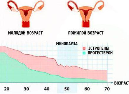Гиперплазия эндометрия в менопаузе Гиперплазия эндометрия в менопаузе