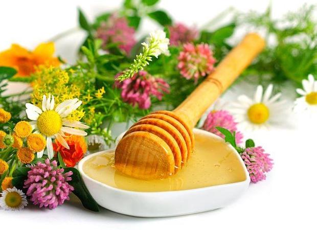 Чем лечить хеликобактер пилори народными средствами