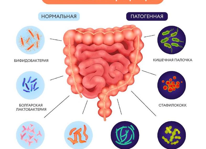 Анализ кишечная группа что это