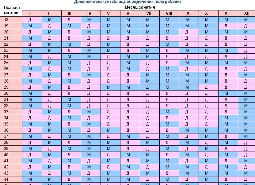 Можно ли узнать пол ребенка на скрининге 1