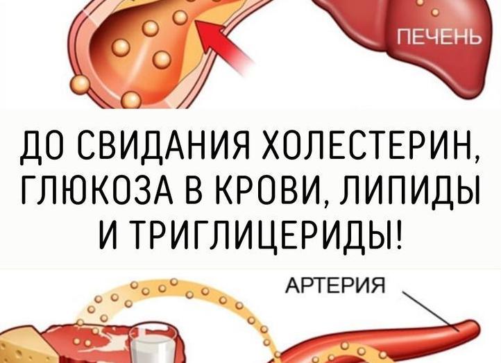 Липиды крови что это