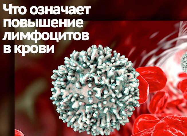 Лимфоциты в крови повышены у мужчин причины