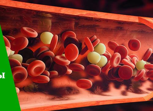 Если низкие тромбоциты что это значит