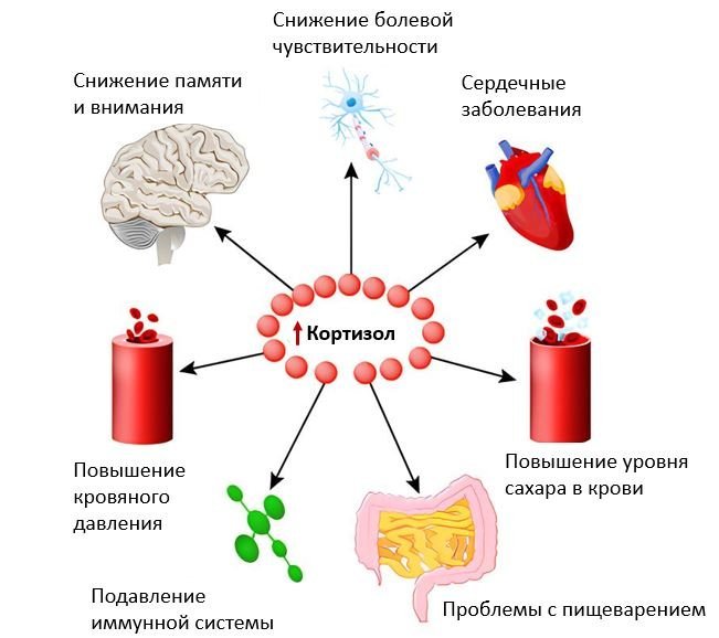 Кровь на кортизол