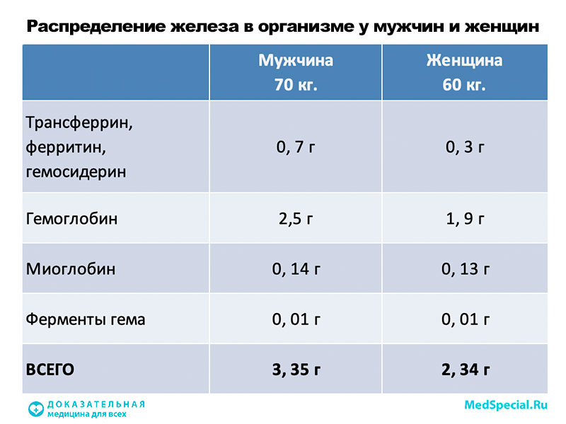 Кровь на сывороточное железо