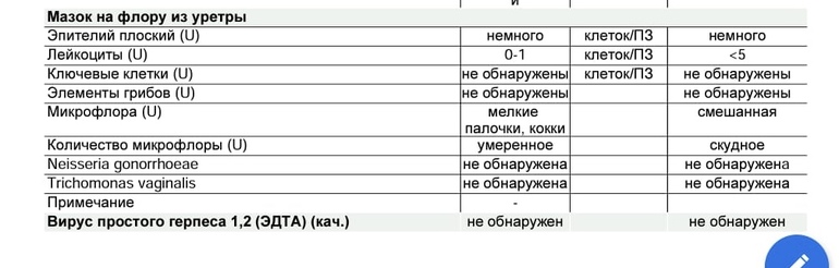 Мазок на флору расшифровка у мужчин