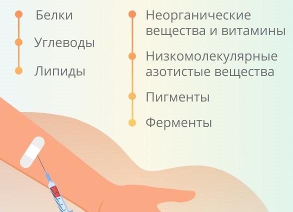 Кровь на биохимию для чего сдают