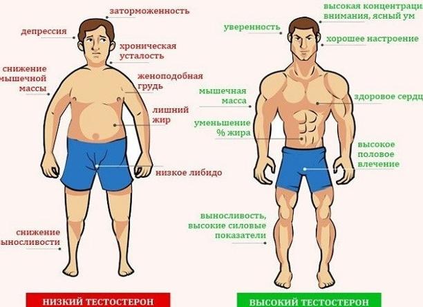 Как увеличить мужской гормон Как увеличить мужской гормон