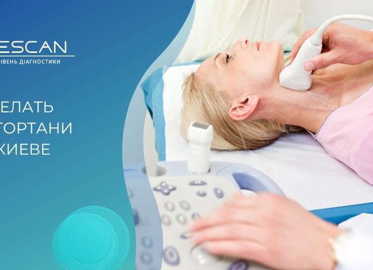 Что показывает узи гортани