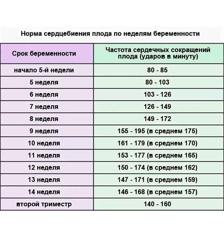 Какое должно быть сердцебиение у плода