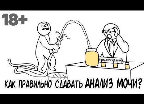 Как правильно подмываться перед сдачей мочи