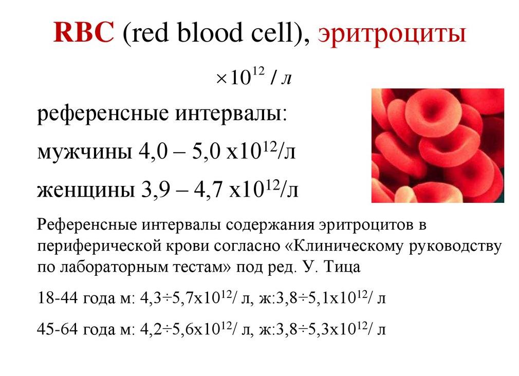 Как обозначаются эритроциты в анализе крови