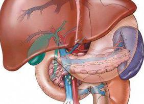 Анализ ггт что это такое у женщин