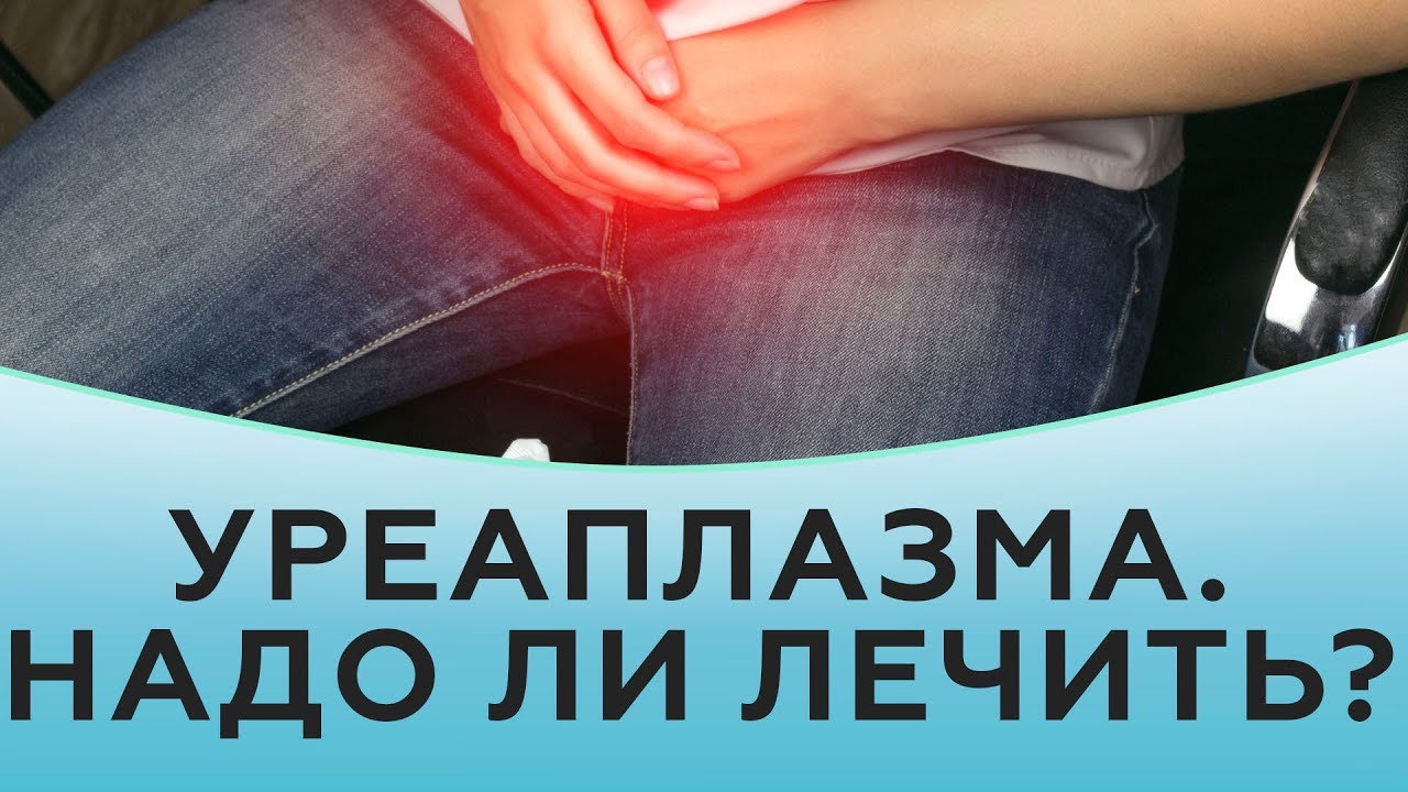 Как передается уреаплазма парвум