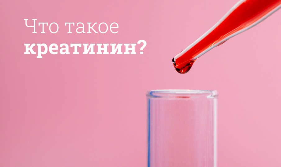 Как повысить креатинин