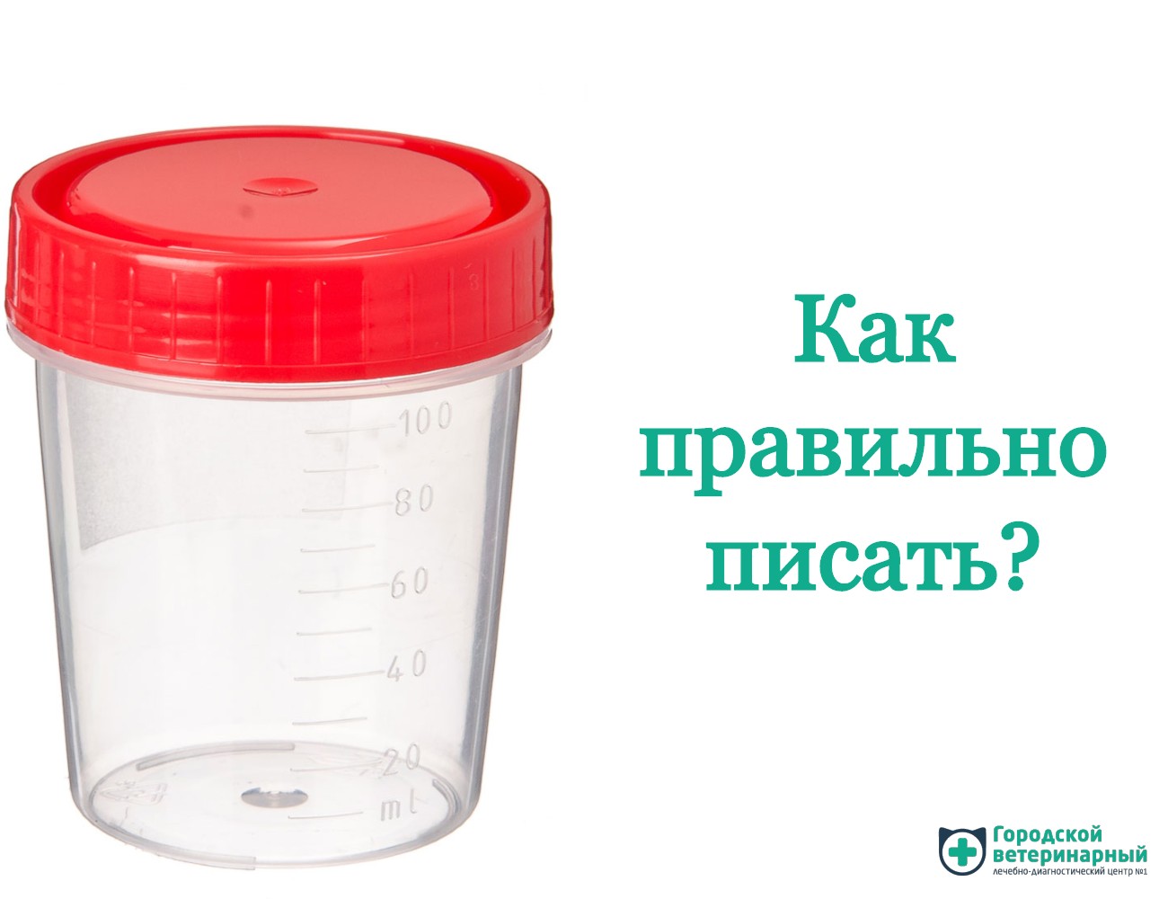 Как правильно собирать мочу