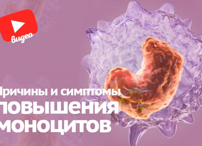 Моноциты повышены у взрослого о чем это говорит