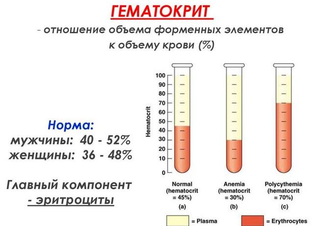 Гематокрит нст выше нормы