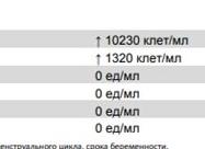 Эритроциты 2000 по нечипоренко