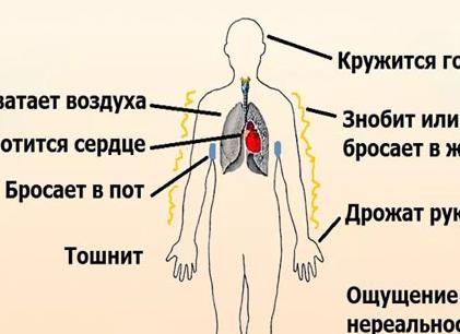 Диагноз вегето сосудистая дистония