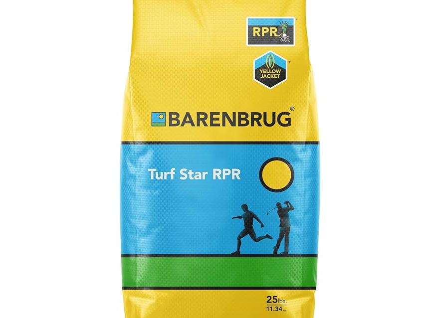 Что такое рпр