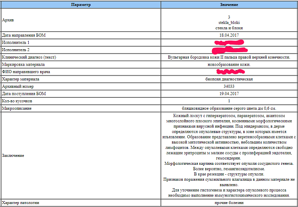 Гистология сколько делается