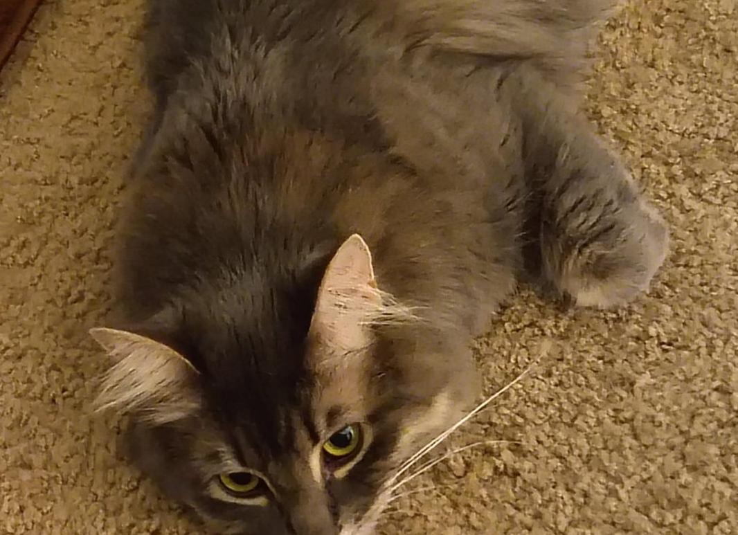 Можно ли вечерний кал сдавать утром