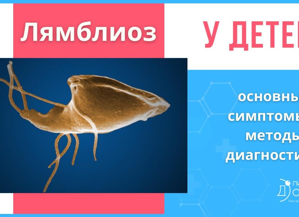 Как сдать анализ на лямблии взрослому