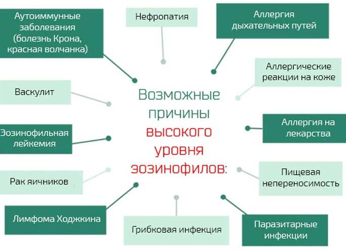 Эозинофилы повышены причины