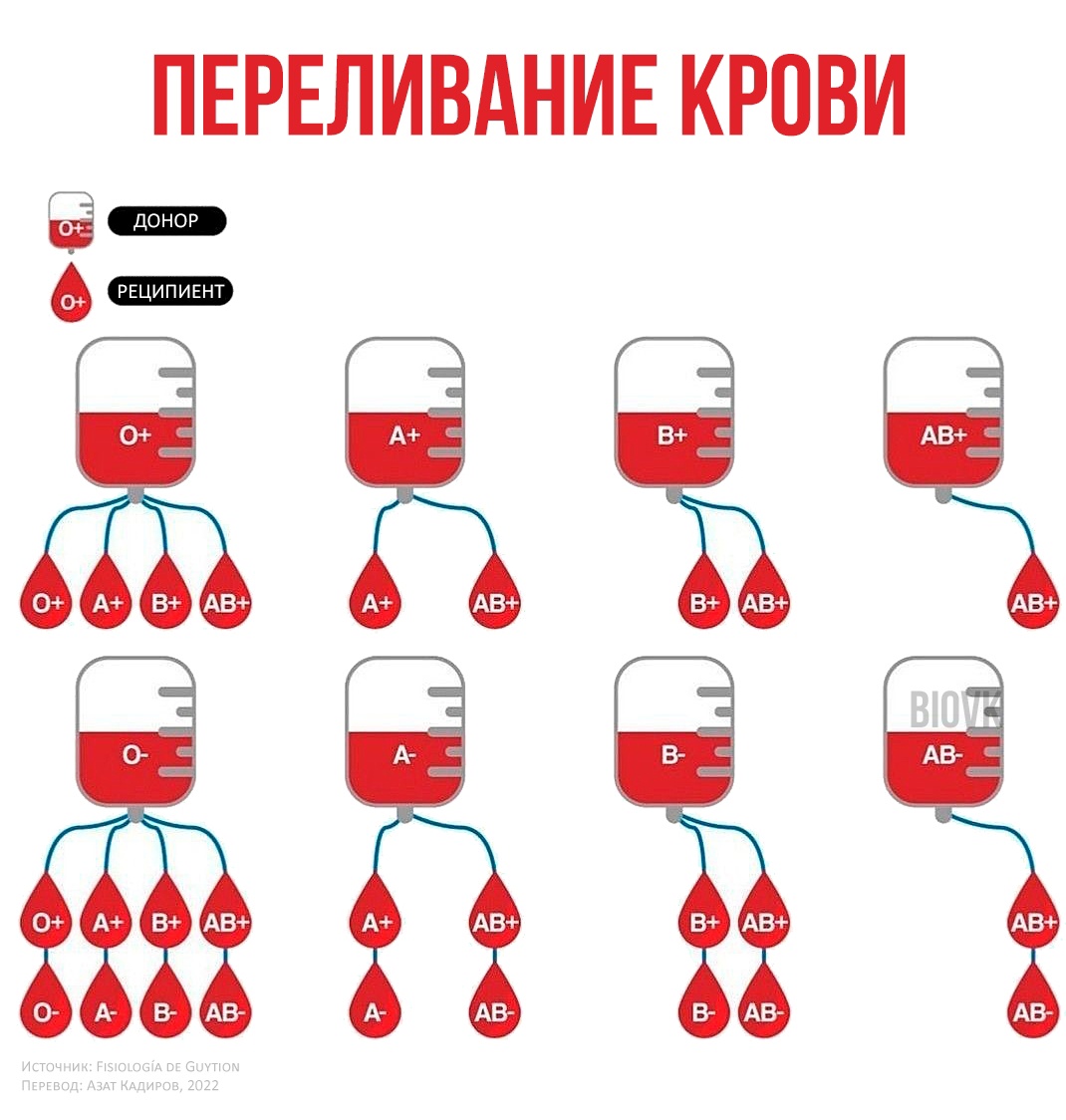 4 группа отрицательная крови совместимость с другими группами