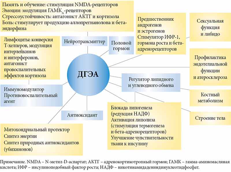 Анализ дгэа с что это
