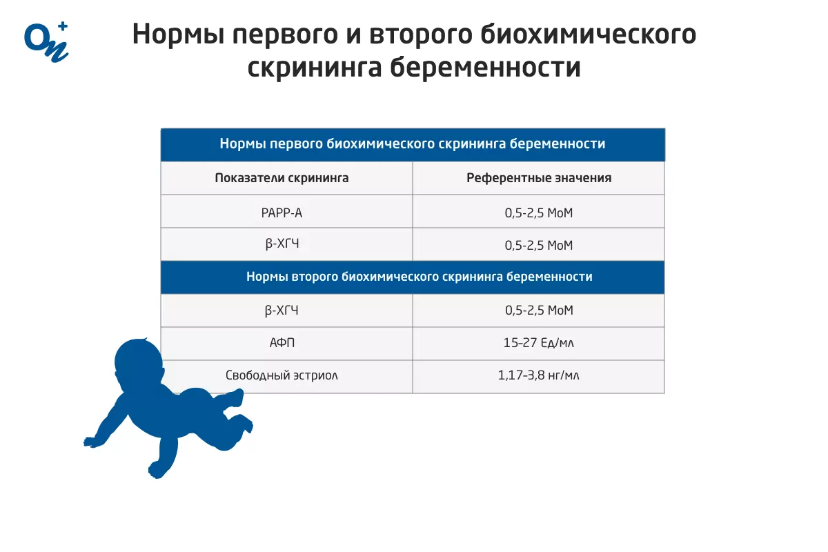 Когда делать второй скрининг