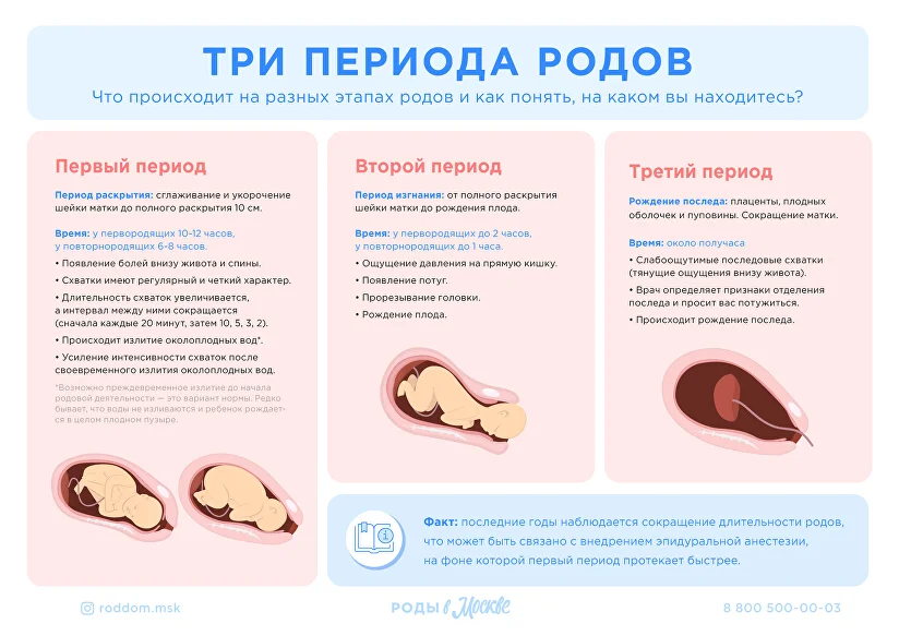 Лейкоциты повышены после родов