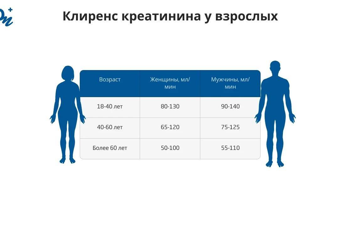 Креатинин у мужчин норма