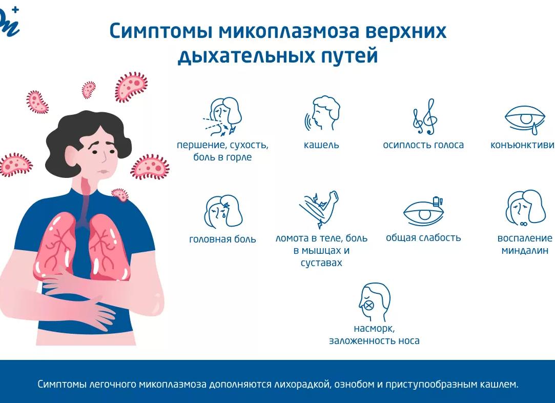 Как передается микоплазма хоминис Как передается микоплазма хоминис