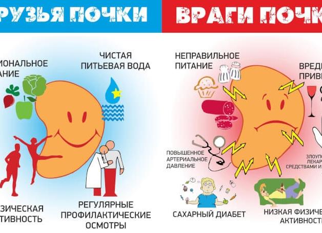Как определить болезнь почек