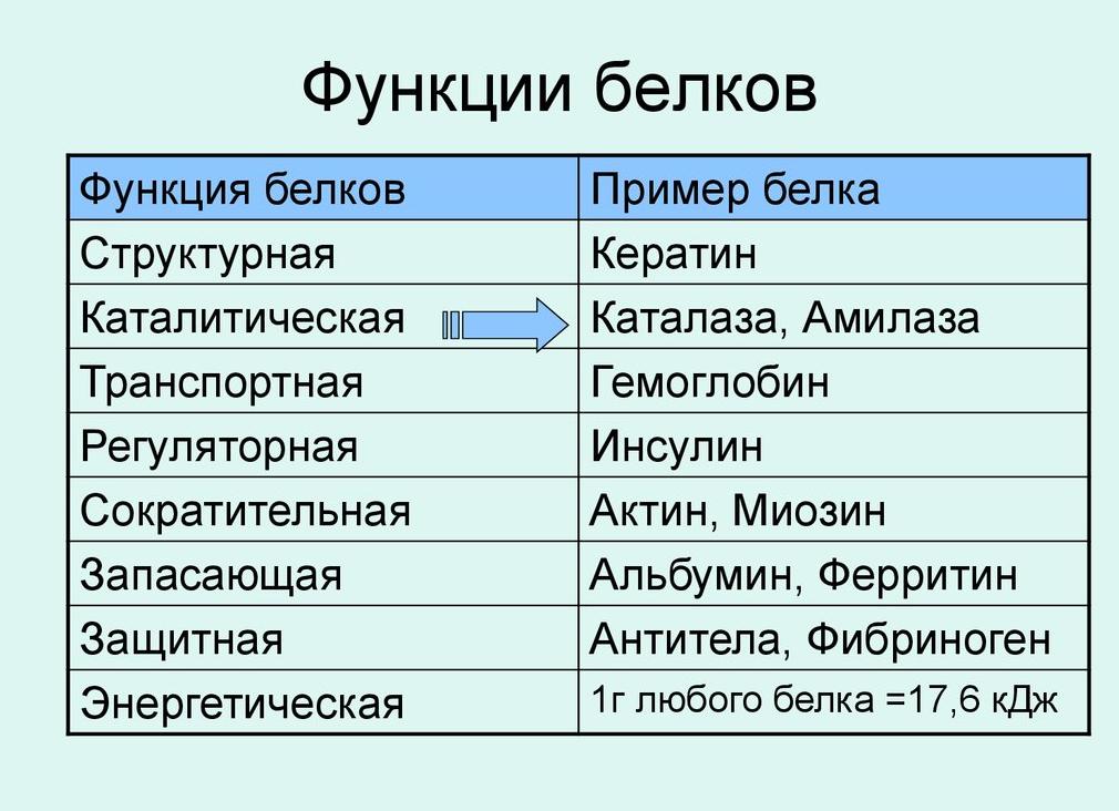 Гемоглобин уровень организации