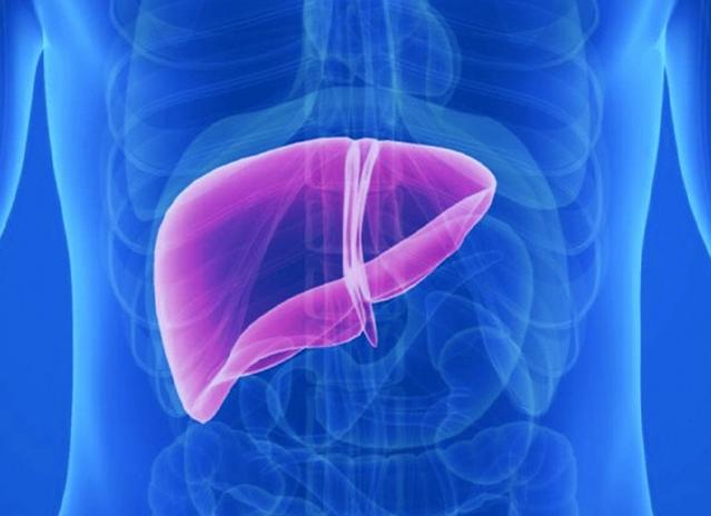 Алт и аст за что отвечают