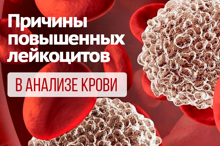 Анализ крови лейкоциты повышены что это значит