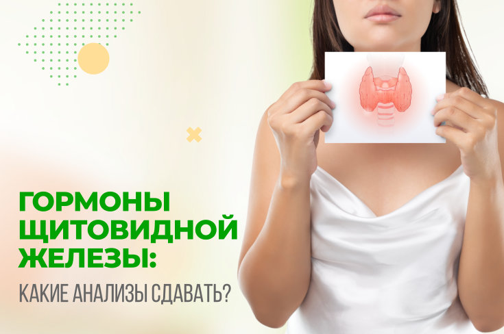 Когда сдавать гормоны щитовидной железы женщине