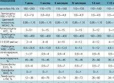 Лейкоциты у детей Лейкоциты у детей