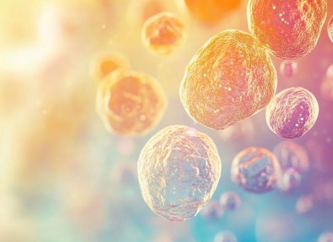 Лейкоцитурия что это