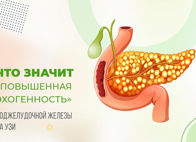 Что такое повышенная эхогенность