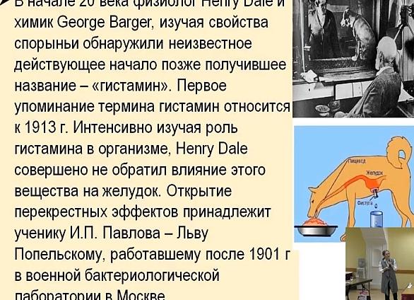 Что такое гистамин в организме человека