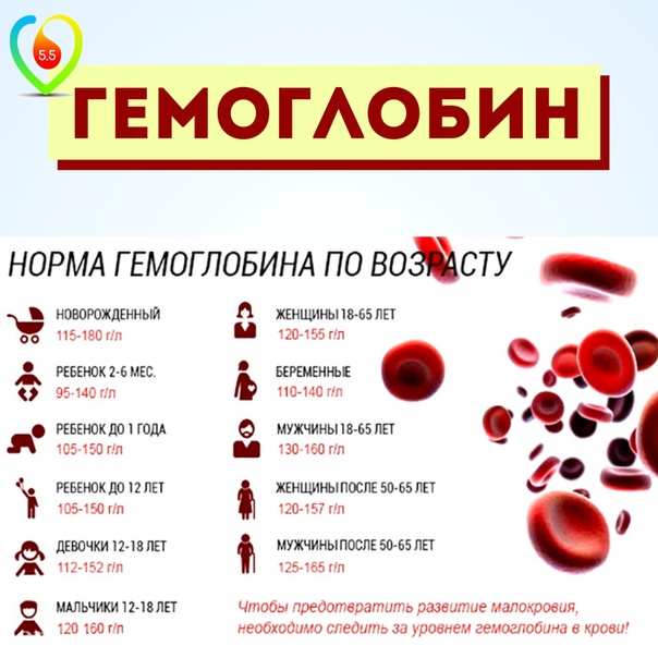 Какие продукты повышают гемоглобин в крови