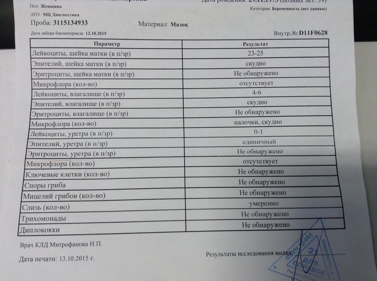 Лейкоциты в шейке матки