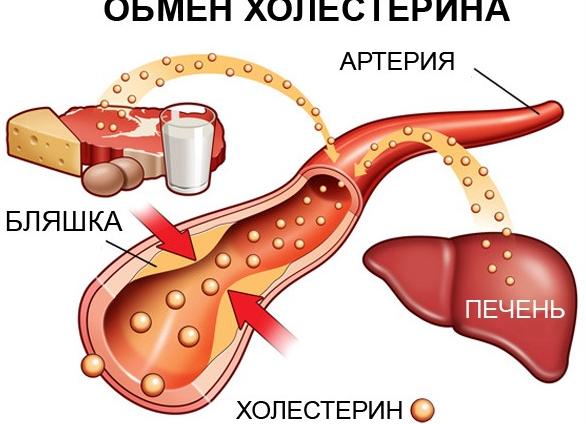 Лпнп в крови что это такое